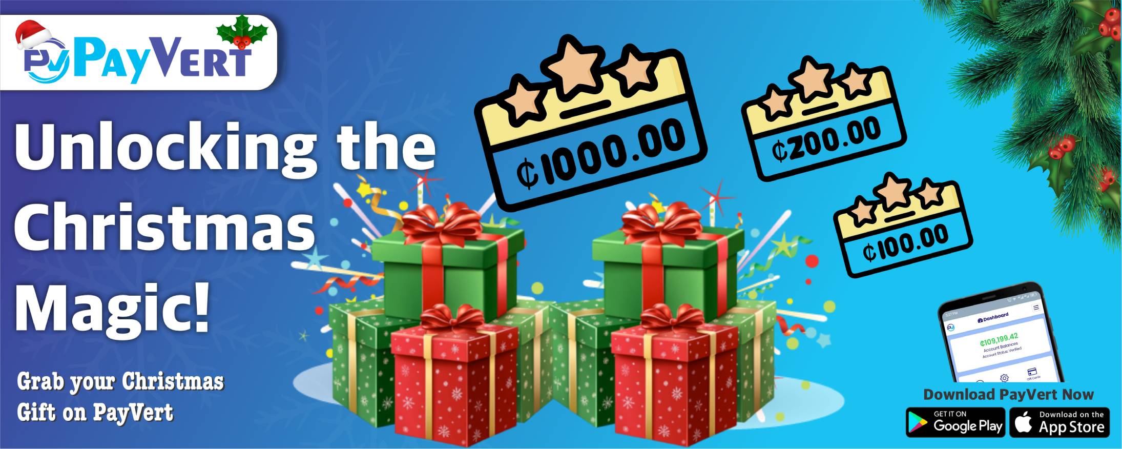 PayVert Christmas Promo
